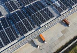 雜項食品運(yùn)用中國廣東深圳 全球物流派送至